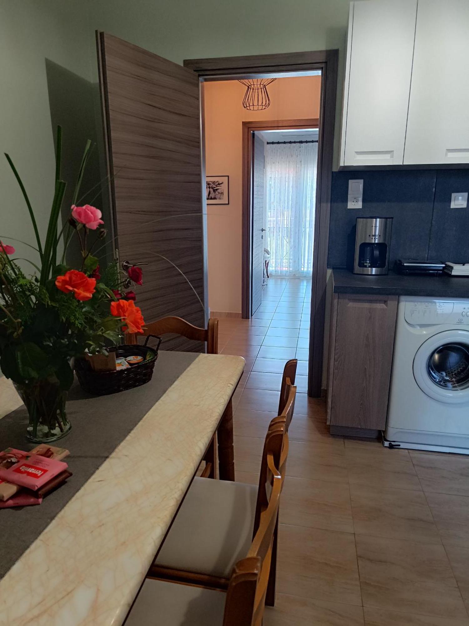 Panos House - High Luxury Apartment Trikala  Ngoại thất bức ảnh
