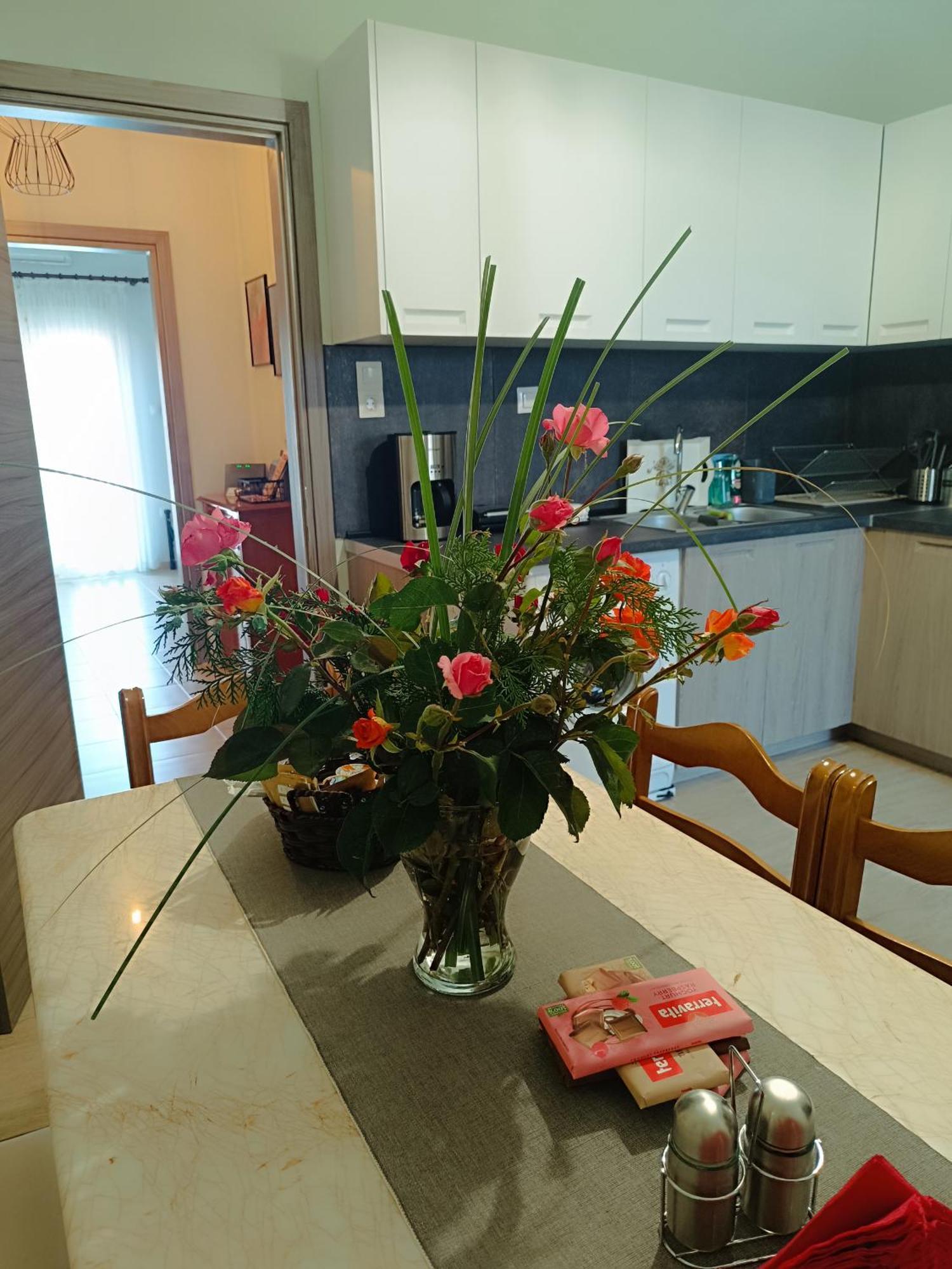 Panos House - High Luxury Apartment Trikala  Ngoại thất bức ảnh